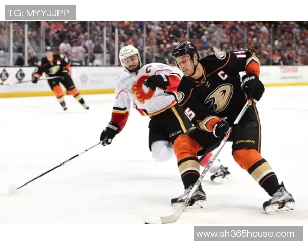 杭州排球队实力对比深度解析各队优势与挑战全面剖析